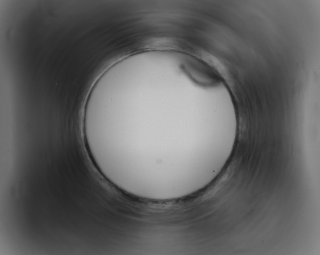 X0000092011386200710041018