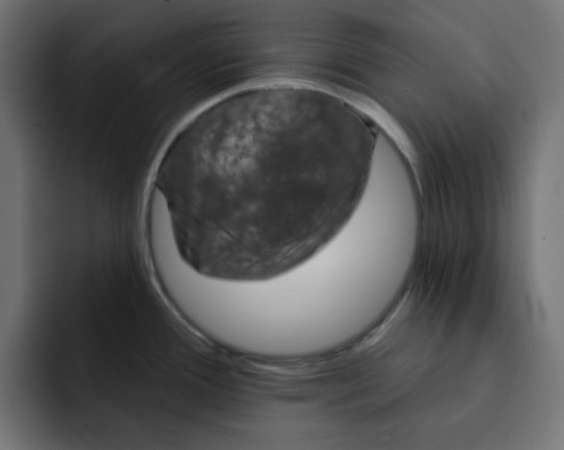 X0000092011388200710041017