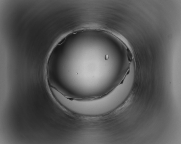 X0000092011389200710041017