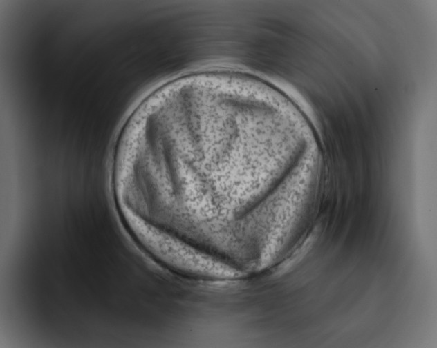 X0000092011390200710041017