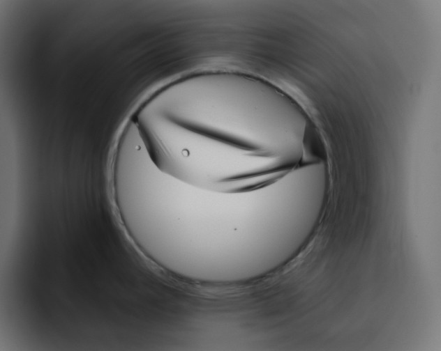 X0000092011392200710041017