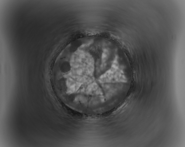 X0000092011393200710041017