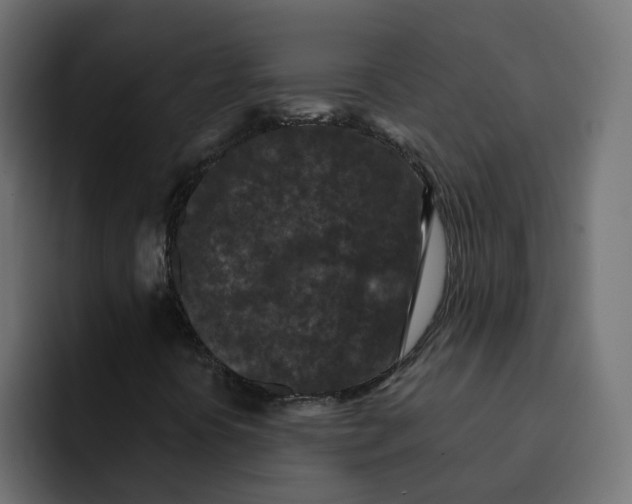 X0000092011394200710041017