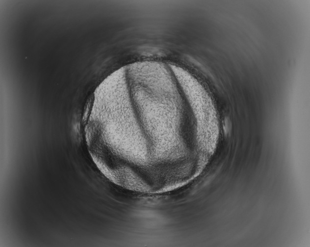 X0000092011396200710041017