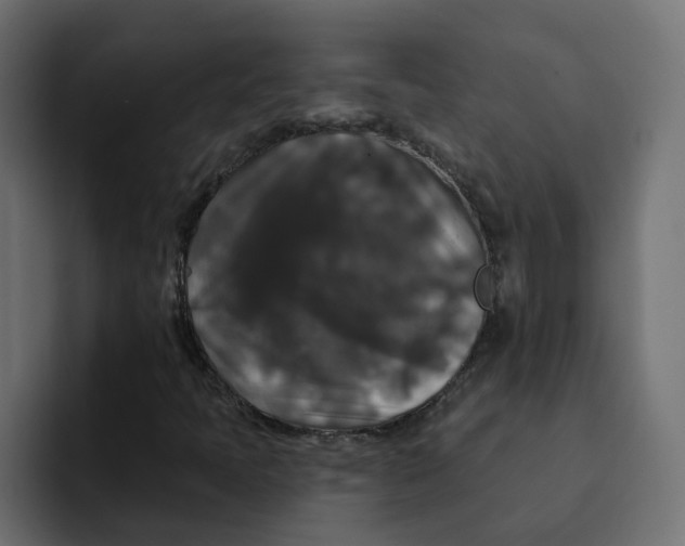 X0000092011397200710041017