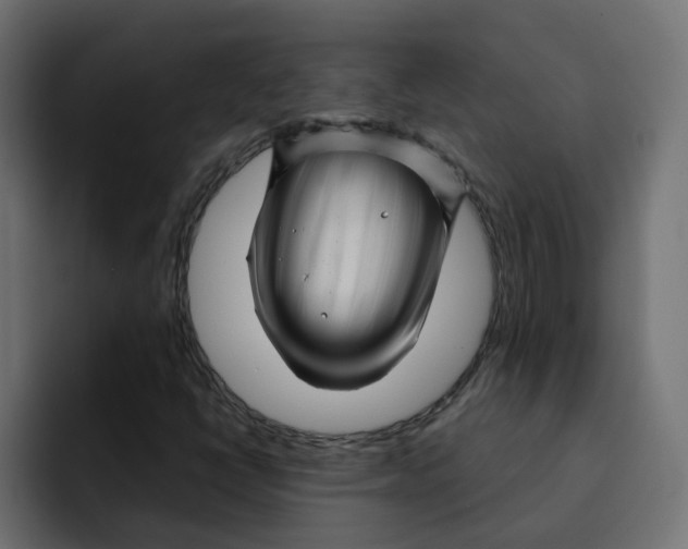 X0000092011398200710041017