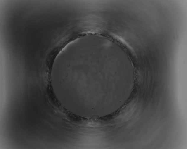 X0000092011399200710041017