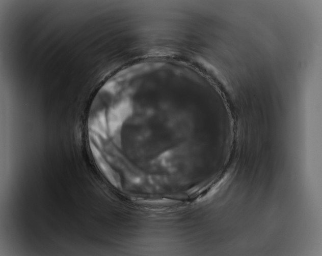 X0000092011401200710041017