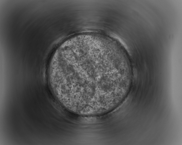 X0000092011403200710041017