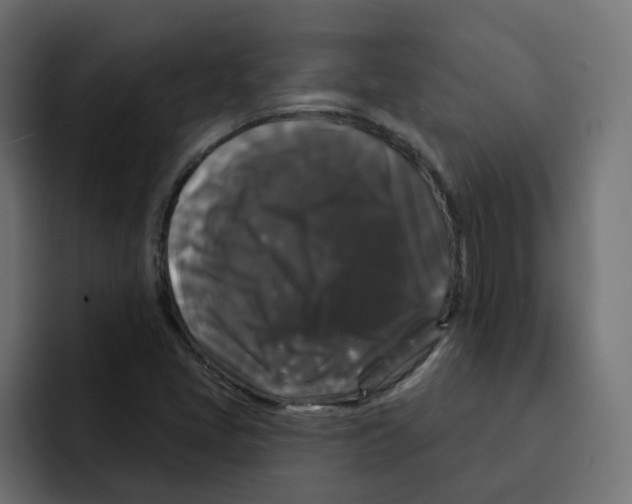 X0000092011405200710041017