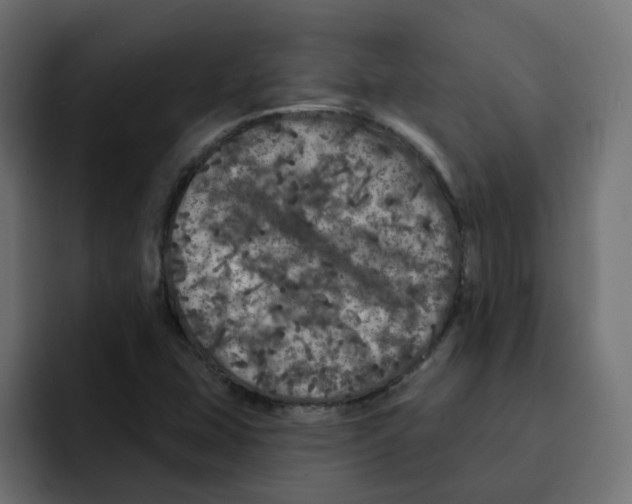 X0000092011407200710041017