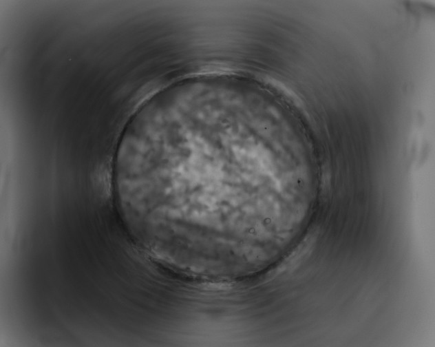 X0000092011409200710041017