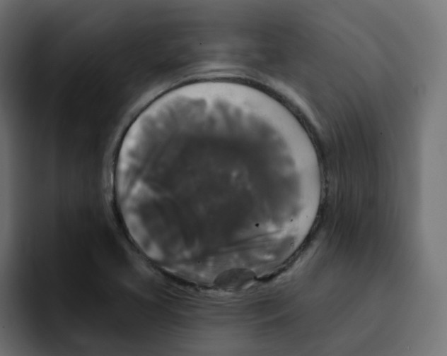 X0000092011413200710041017