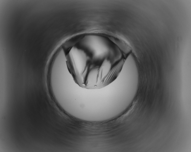 X0000092011414200710041017