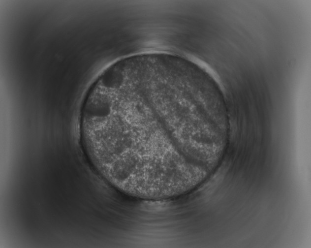 X0000092011415200710041017