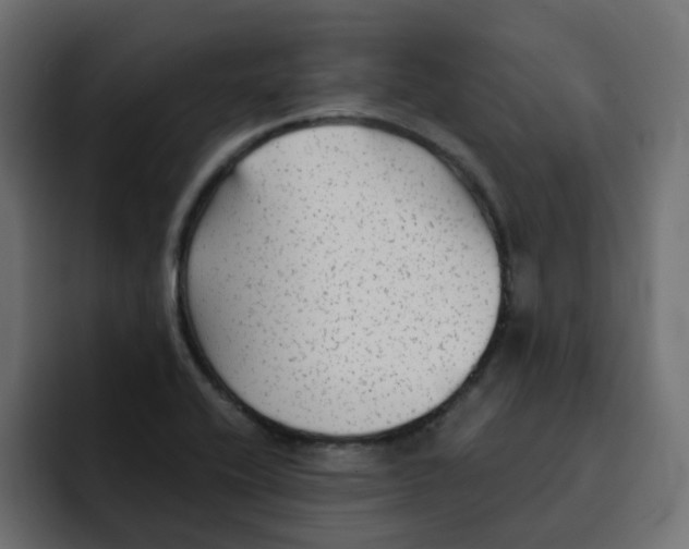 X0000092011416200710041017