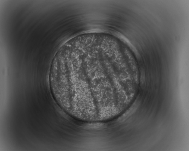 X0000092011417200710041017