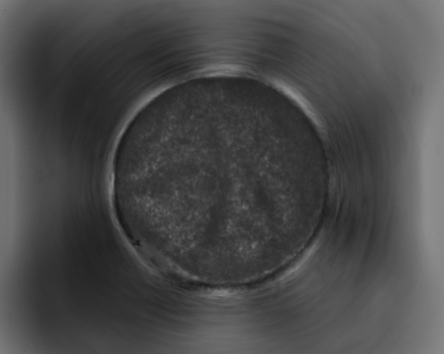 X0000092011418200710041017