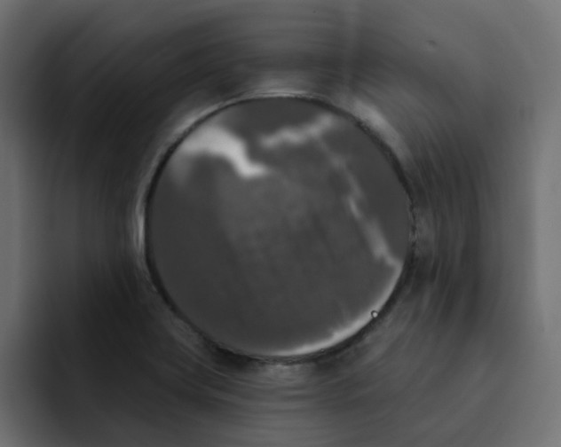 X0000092011419200710041017