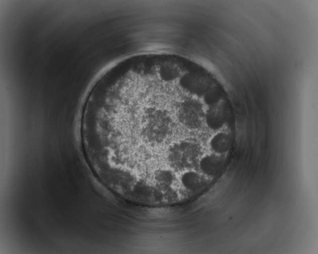 X0000092011421200710041017