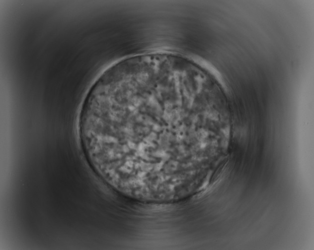 X0000092011423200710041017