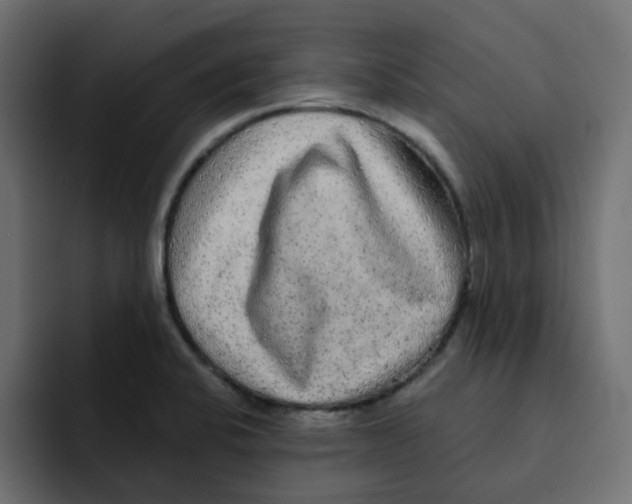 X0000092011424200710041017