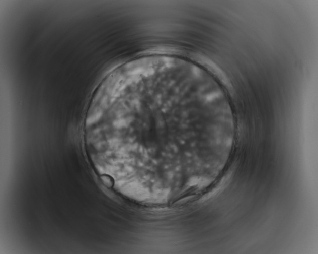 X0000092011425200710041017