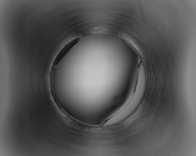 X0000092011434200710041017