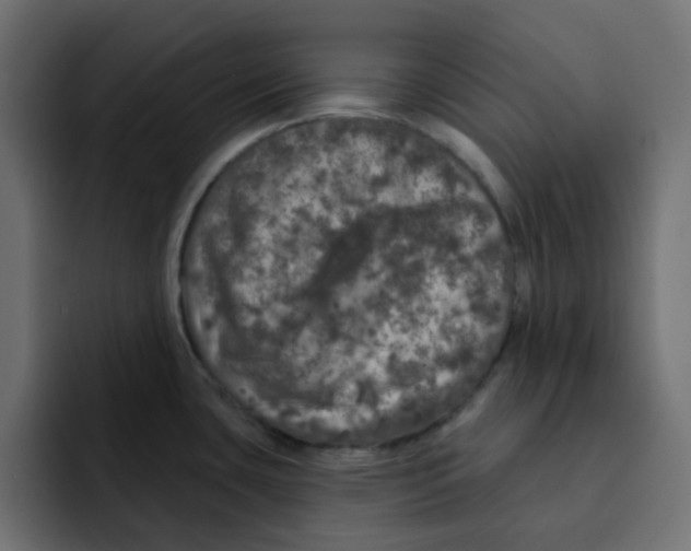 X0000092011435200710041017