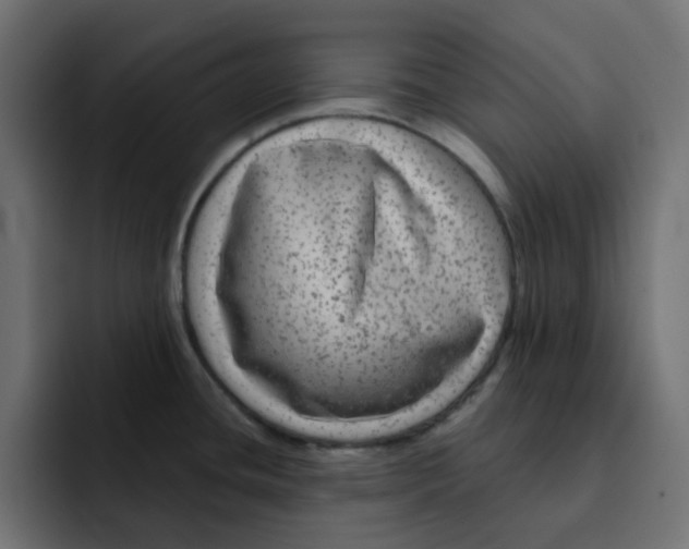 X0000092011436200710041017