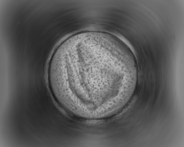 X0000092011437200710041017