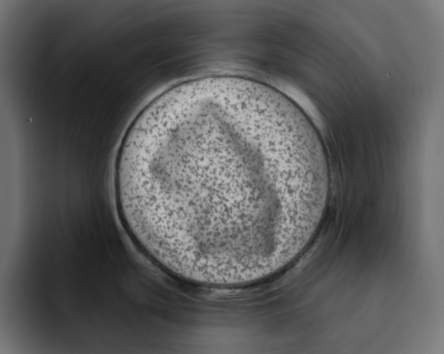 X0000092011439200710041017