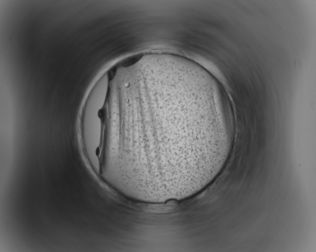 X0000092011440200710041017