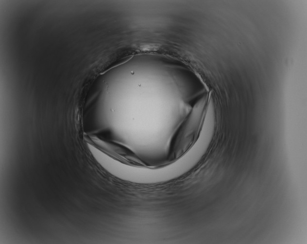 X0000092011443200710041017