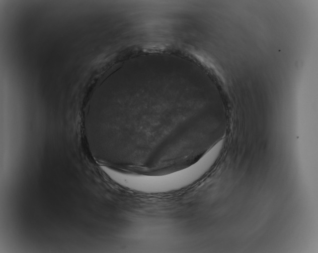 X0000092011445200710041017