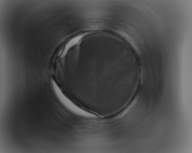 X0000092011449200710041017