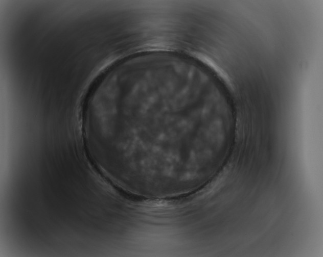 X0000092011450200710041017