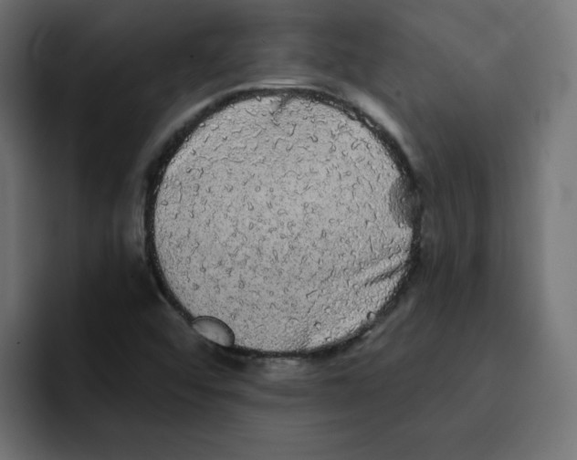 X0000092011456200710041017