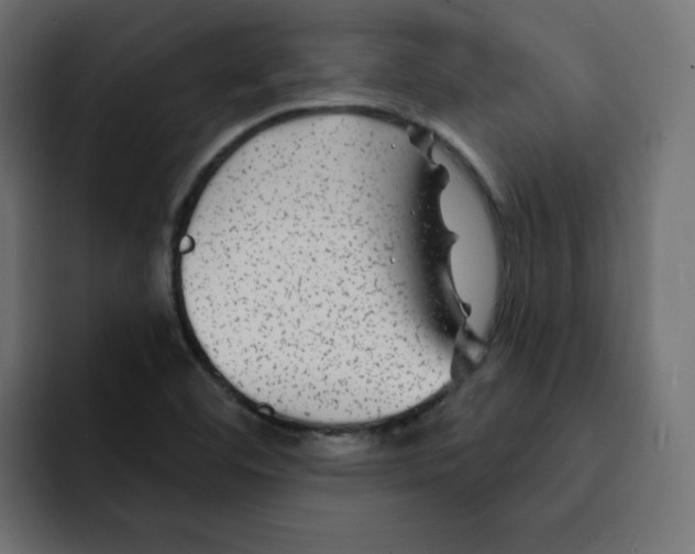 X0000092011460200710041017