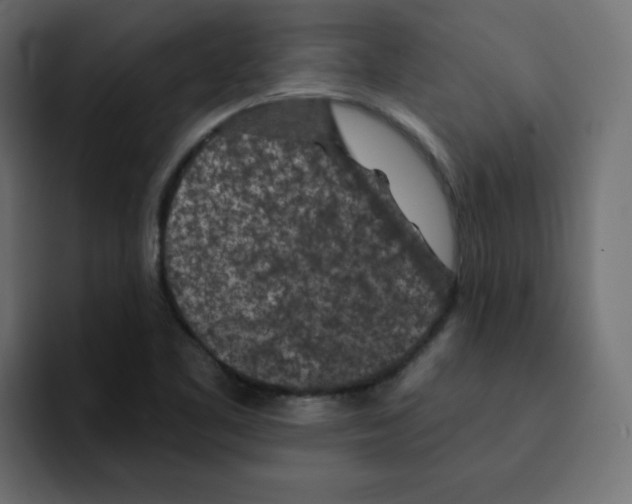 X0000092011461200710041017