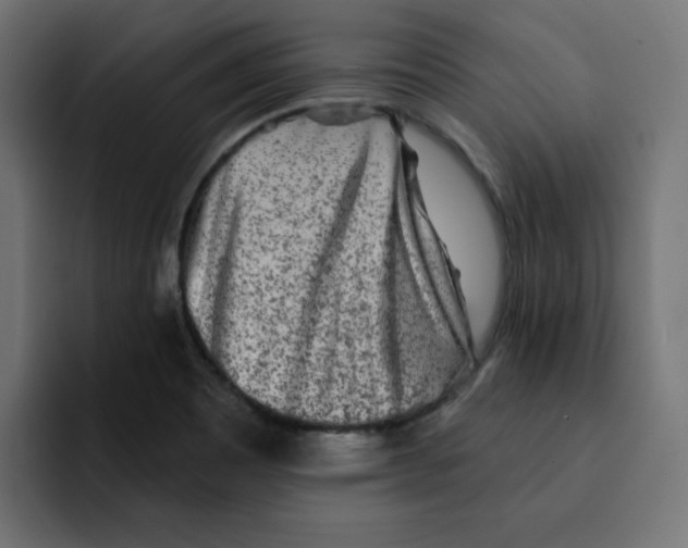 X0000092011465200710041017