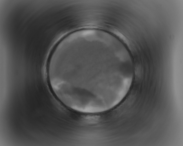 X0000092011466200710041017