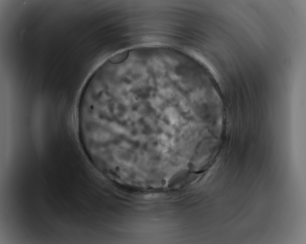 X0000092011467200710041017