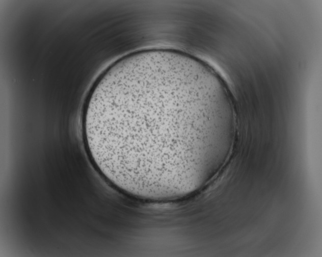 X0000092011468200710041017