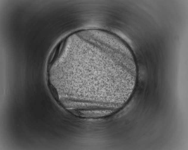 X0000092011469200710041017