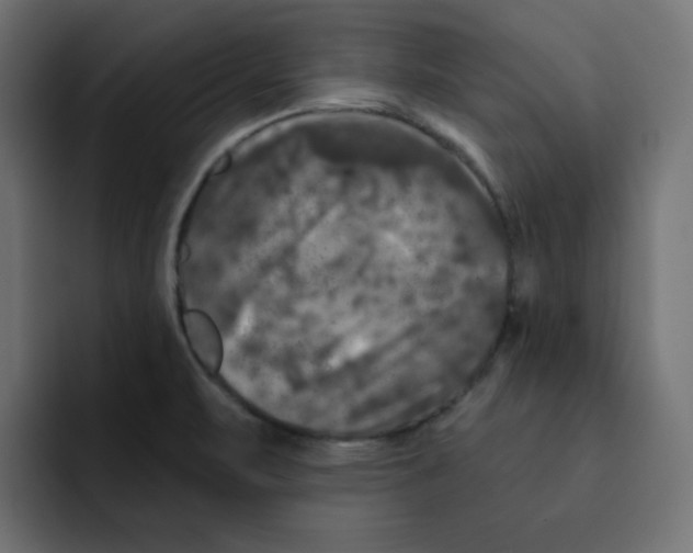 X0000092011471200710041017