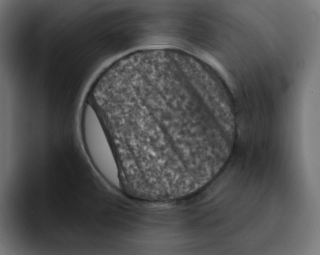 X0000092011472200710041017