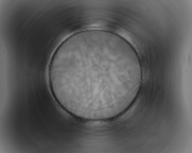 X0000092011474200710041016