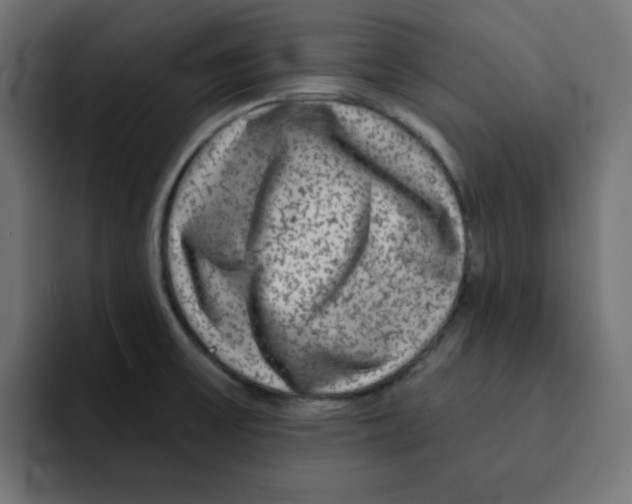 X0000092011475200710041016