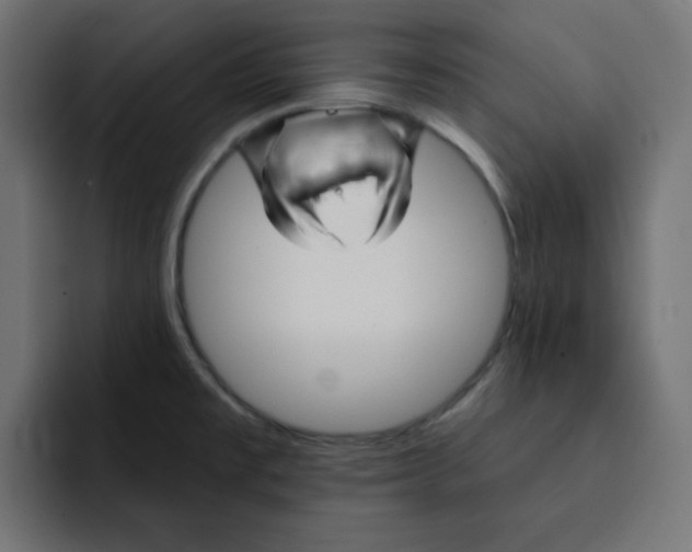 X0000092011477200710041016